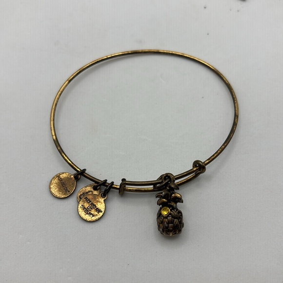 Alex and Ani charm bangle bracelets stretch 5 different colors and wear - Picture 7 of 16